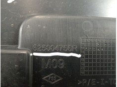 Recambio de panel frontal para renault twizy cargo referencia OEM IAM 625004756R   2