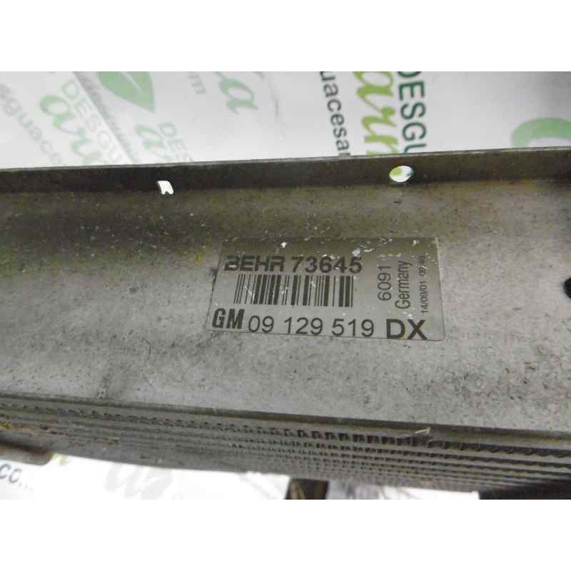 Recambio de intercooler para opel astra g berlina 1.7 16v dti cat (y 17 dt / lr6) referencia OEM IAM 09129519DX  