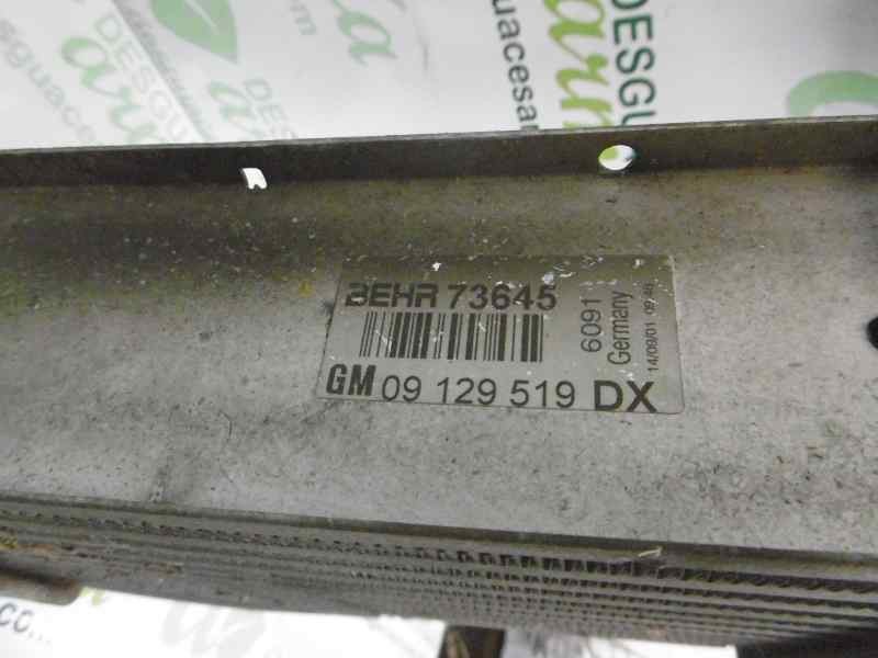 Recambio de intercooler para opel astra g berlina 1.7 16v dti cat (y 17 dt / lr6) referencia OEM IAM 09129519DX  