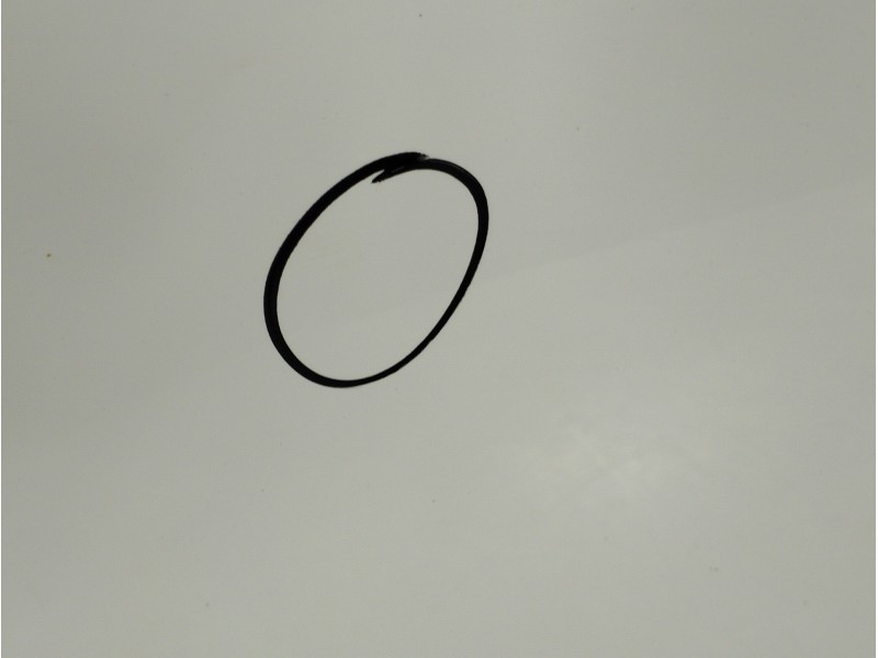 Recambio de puerta trasera izquierda para citroën c4 lim. collection referencia OEM IAM   