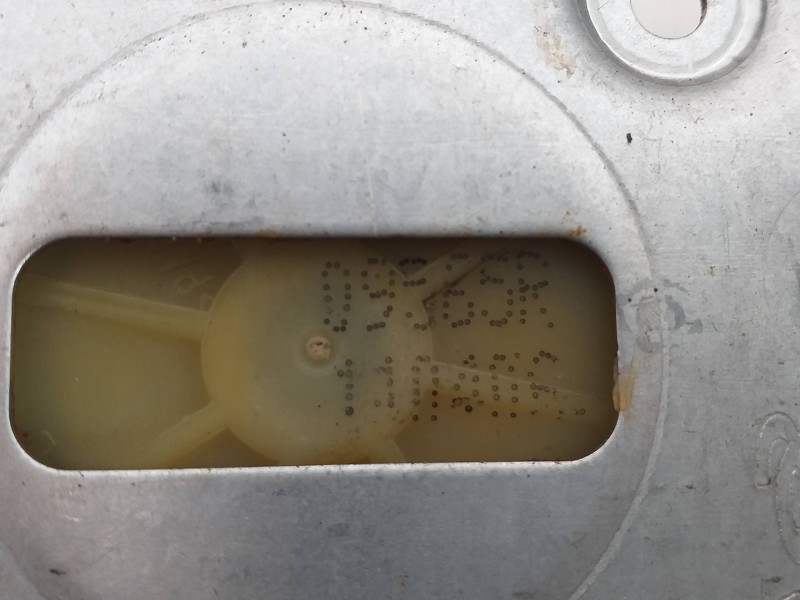 Recambio de elevalunas delantero derecho para renault kangoo expression referencia OEM IAM 807207012R  