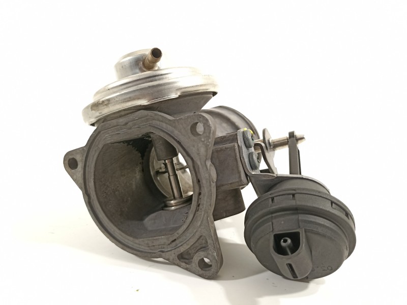 Recambio de valvula egr para seat leon (1m1) sport f.r. referencia OEM IAM 038131501T 056129637L 