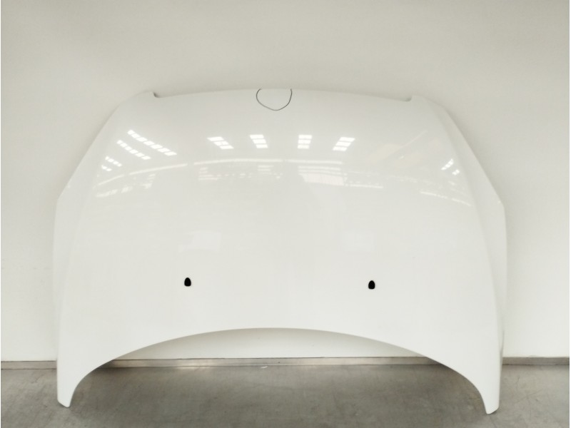 Recambio de capot para peugeot 307 (s1) xt referencia OEM IAM 7901J0  