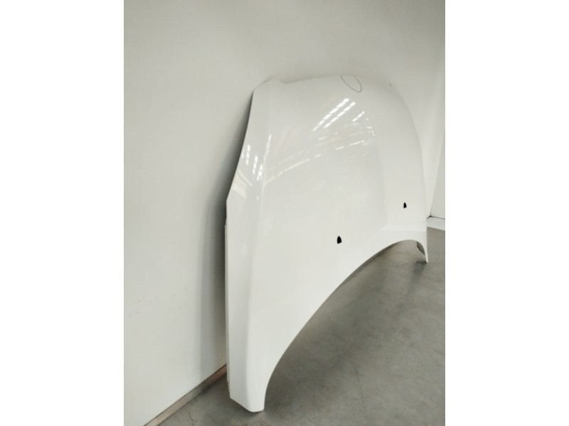 Recambio de capot para peugeot 307 (s1) xt referencia OEM IAM 7901J0  