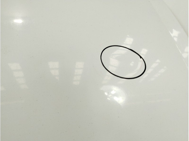 Recambio de capot para renault trafic combi (ab 4.01) 2.5 dci diesel cat referencia OEM IAM   
