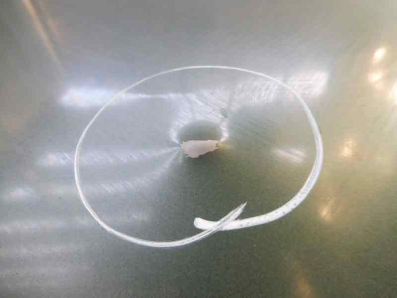 Recambio de capot para kia sorento 2.5 crdi vgt ex1 referencia OEM IAM   