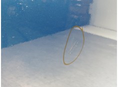 Recambio de puerta delantera derecha para renault megane iii berlina 5 p dynamique referencia OEM IAM 801009742R   2