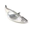 FARO DERECHO 9S5113005BA 