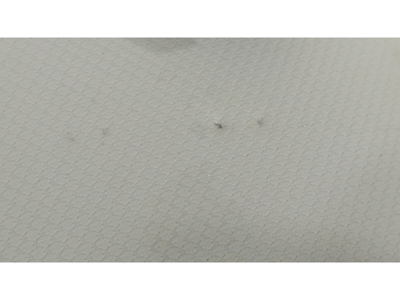 Recambio de parasol derecho para audi a5 sportback (8t) 2.0 tdi (125kw) referencia OEM IAM 8K0857552  