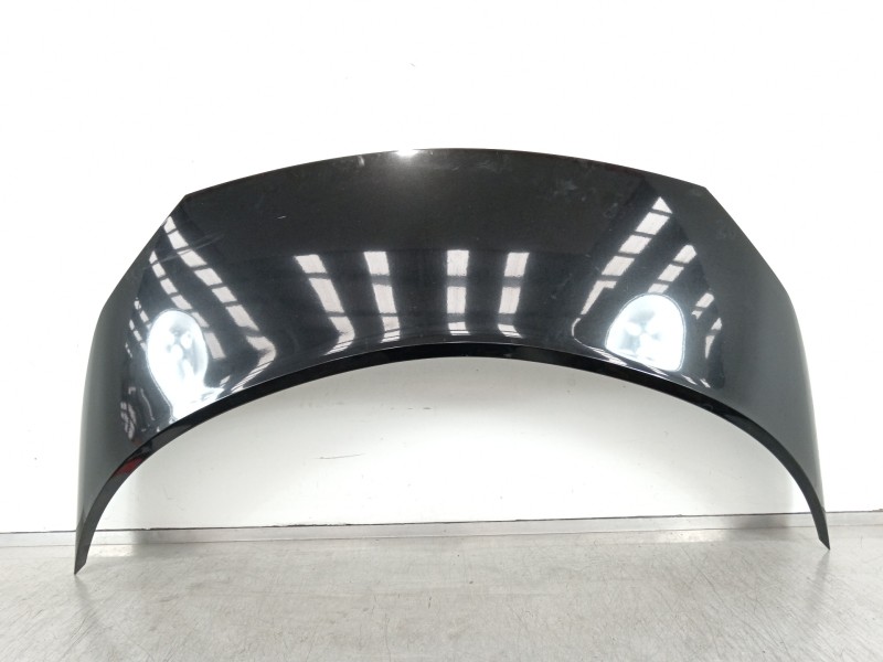 Recambio de capot para renault scenic ii adventure by coronel tapiocca referencia OEM IAM   