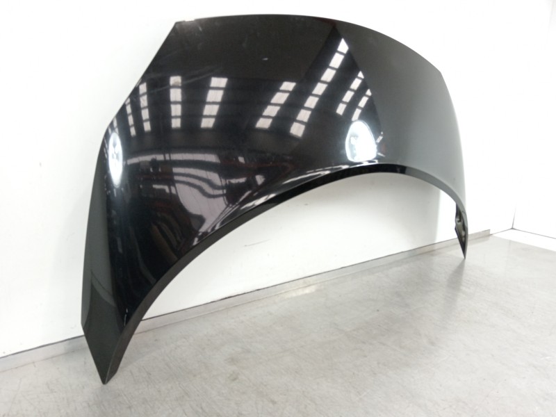 Recambio de capot para renault scenic ii adventure by coronel tapiocca referencia OEM IAM   