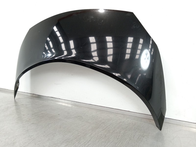 Recambio de capot para renault scenic ii adventure by coronel tapiocca referencia OEM IAM   