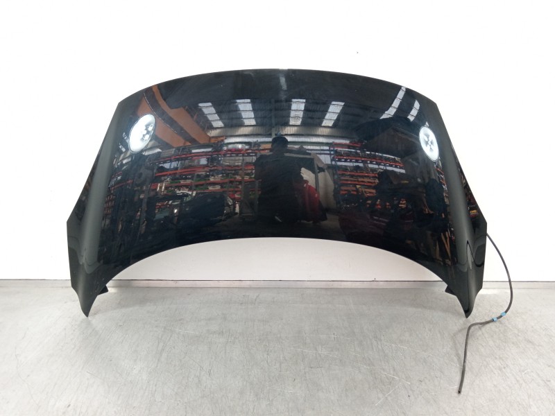 Recambio de capot para renault scenic iii authentique referencia OEM IAM   