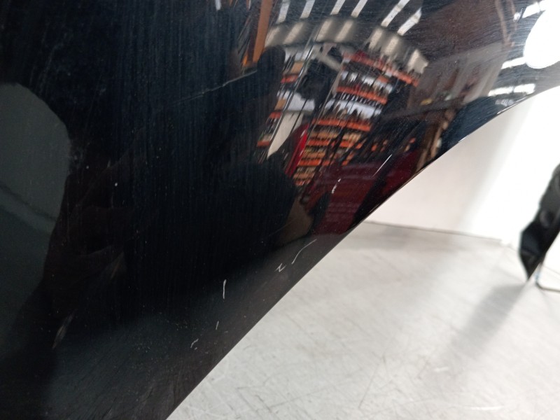 Recambio de capot para renault scenic iii authentique referencia OEM IAM   