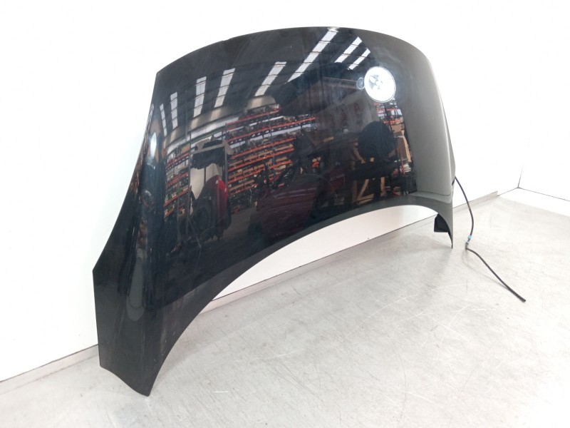 Recambio de capot para renault scenic iii authentique referencia OEM IAM   