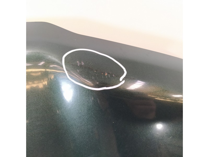 Recambio de capot para land rover freelander (ln) 2.0 di familiar (72kw) referencia OEM IAM ASR2512  