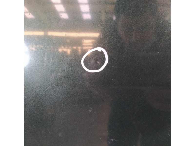 Recambio de capot para land rover freelander (ln) 2.0 di familiar (72kw) referencia OEM IAM ASR2512  