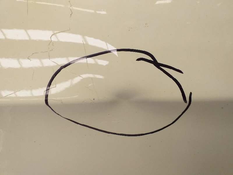 Recambio de puerta delantera izquierda para bmw serie 3 coupe (e92) 335i referencia OEM IAM 41517200569  