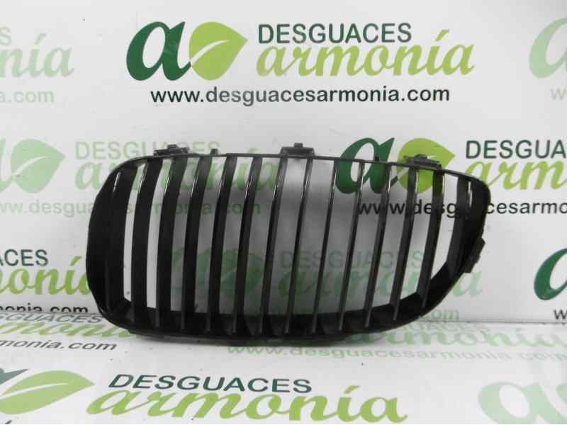 Recambio de rejilla delantera para bmw serie 3 coupe (e92) 335i referencia OEM IAM   