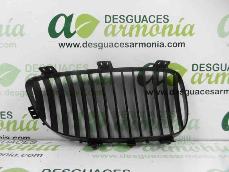 Recambio de rejilla delantera para bmw serie 3 coupe (e92) 335i referencia OEM IAM   