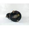 MOTOR ARRANQUE 068911024F 0001110126
