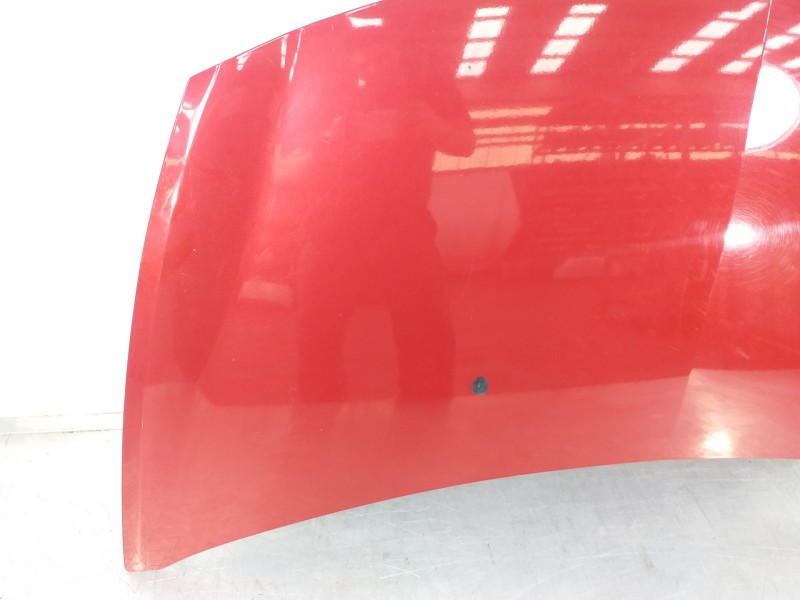 Recambio de capot para renault clio iii exception referencia OEM IAM ABR2791909  