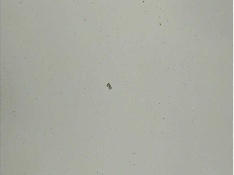 Recambio de capot para opel insignia sports tourer 2.0 16v cdti referencia OEM IAM   