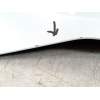 MOLDURA PUERTA TRASERA DERECHA 753133B4H020 