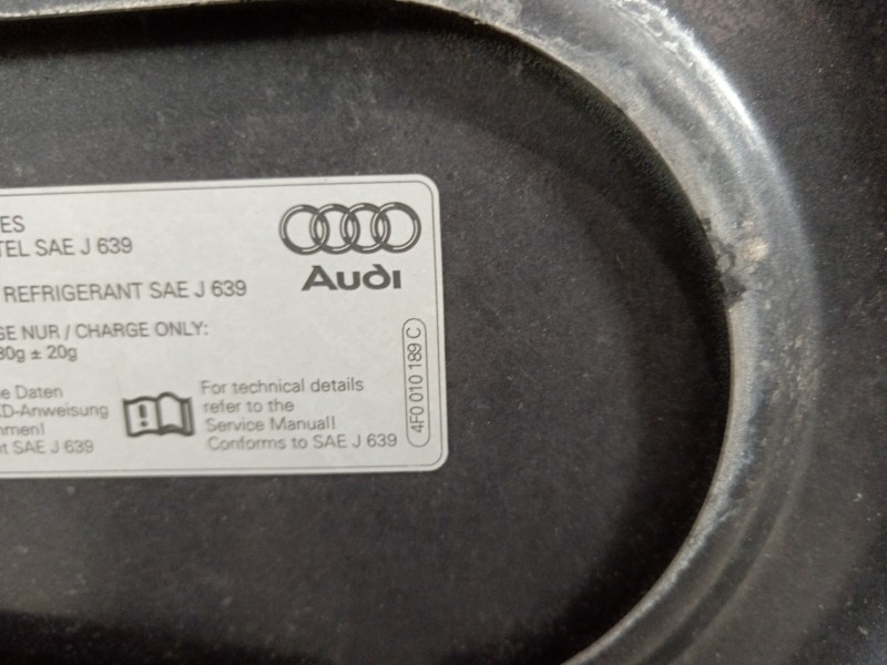 Recambio de capot para audi a6 avant (4f5) 3.0 tdi quattro referencia OEM IAM 4F0010189  