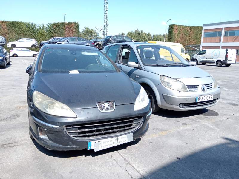 peugeot 407 (6d_) del año 2005