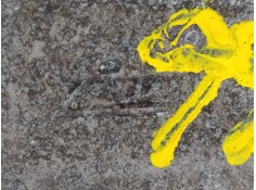 Recambio de pinza freno trasera izquierda para ford focus lim. trend + referencia OEM IAM    2