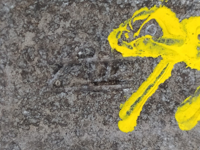 Recambio de pinza freno trasera izquierda para ford focus lim. trend + referencia OEM IAM   