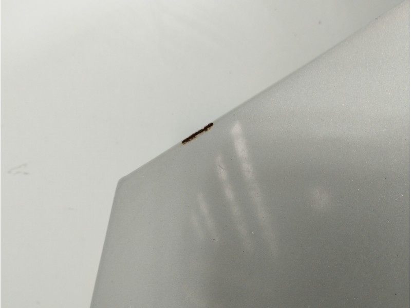 Recambio de capot para ford galaxy (vy) ambiente referencia OEM IAM 1316291  