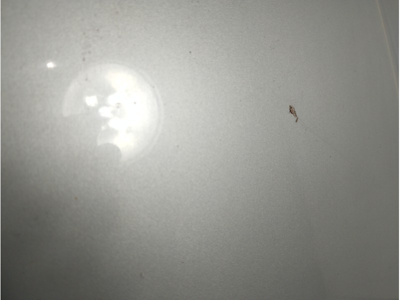 Recambio de capot para kia carnival td ls travel referencia OEM IAM   