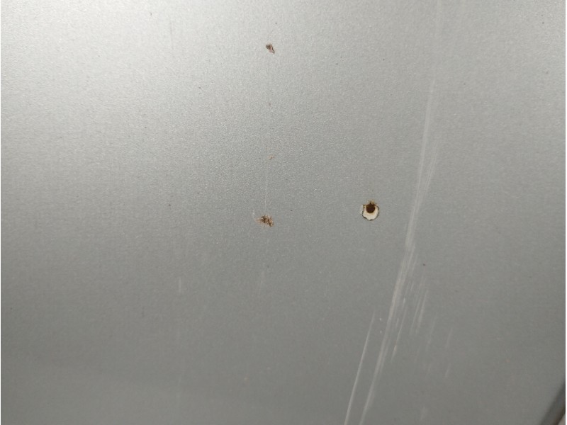 Recambio de capot para kia carnival td ls travel referencia OEM IAM   