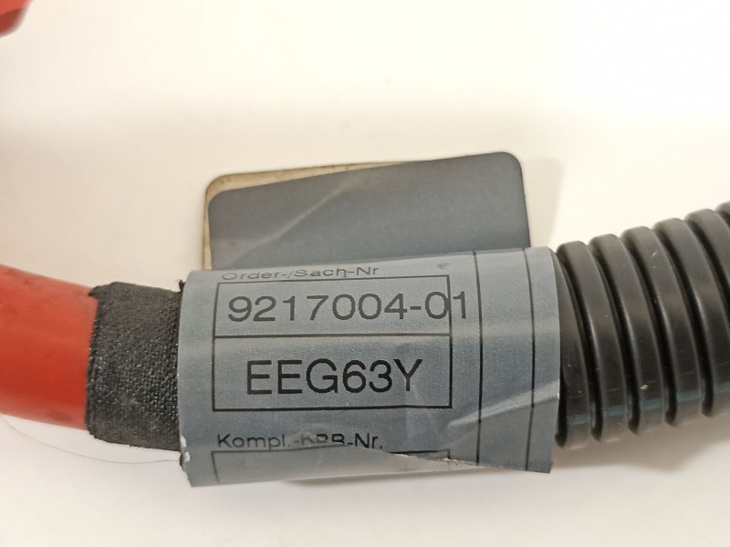 Recambio de cable para bmw x6 (e71) 3.5d referencia OEM IAM 921700401  10304410