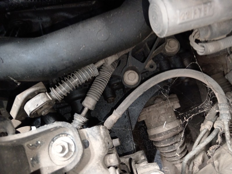 Recambio de caja cambios para seat ibiza (6j5) reference referencia OEM IAM LBQ  