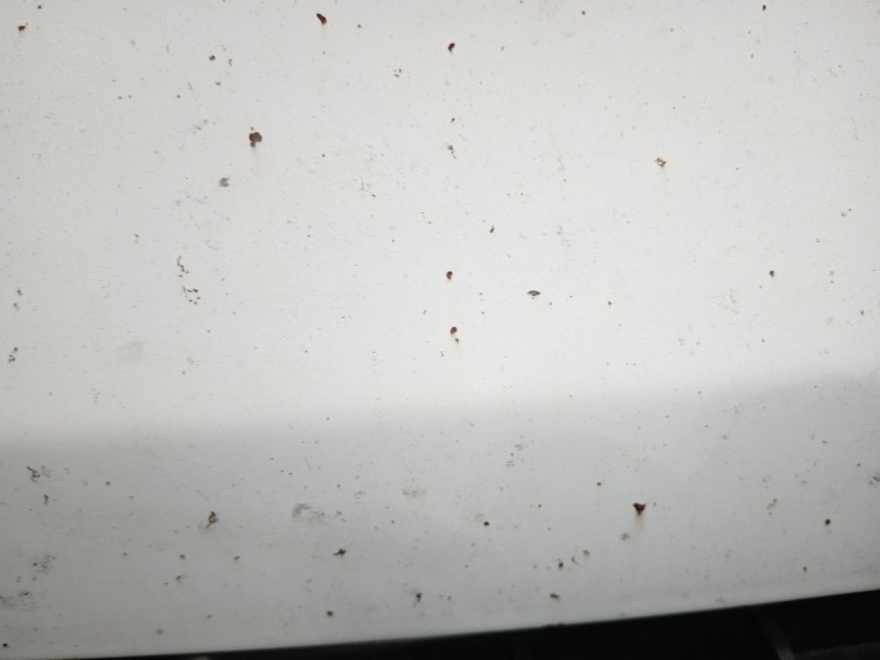 Recambio de capot para citroën jumper ii autobús 2.2 hdi 120 referencia OEM IAM   