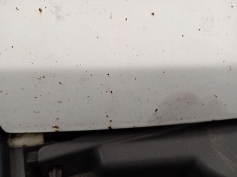 Recambio de capot para citroën jumper ii autobús 2.2 hdi 120 referencia OEM IAM   