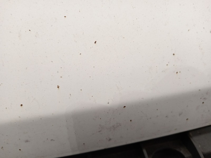 Recambio de capot para citroën jumper ii autobús 2.2 hdi 120 referencia OEM IAM   