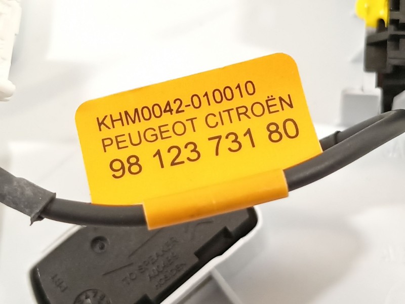 Recambio de luz interior para peugeot 208 2020 referencia OEM IAM 96887290PR  