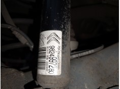 Recambio de amortiguador trasero derecho para citroën c3 elle referencia OEM IAM    2