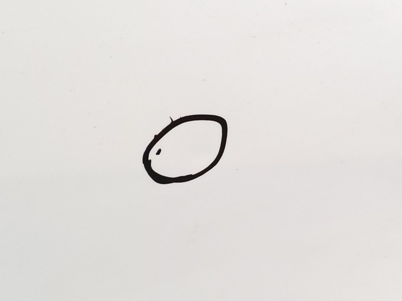 Recambio de puerta delantera derecha para opel insignia sports tourer 2.0 16v cdti referencia OEM IAM   