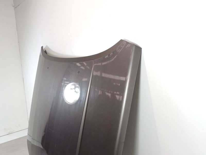 Recambio de capot para renault fuego 829-explosion referencia OEM IAM   