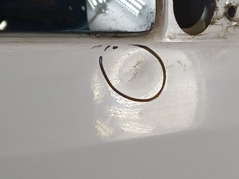 Recambio de puerta delantera derecha para citroën jumper ii autobús 2.2 hdi 120 referencia OEM IAM   