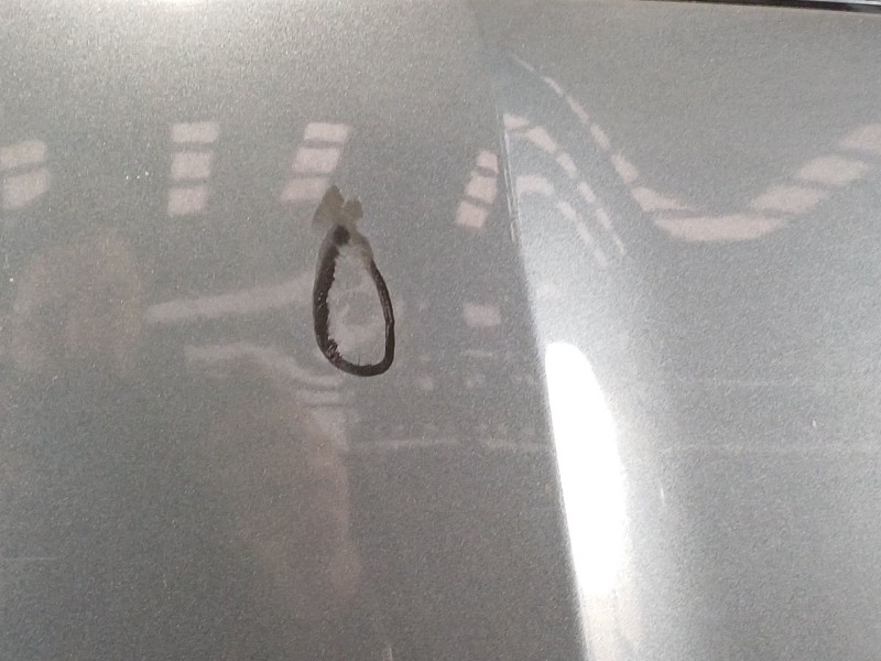 Recambio de capot para skoda octavia berlina (1z3) active referencia OEM IAM   