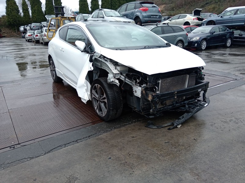 kia ceed (cd) del año 2017