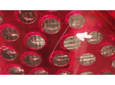 Recambio de piloto trasero izquierdo para peugeot 207 sport referencia OEM IAM 9649986680   2