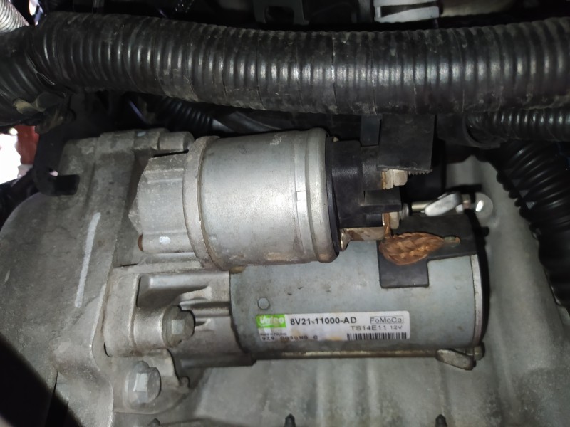 Recambio de motor arranque para ford fiesta (cb1) 1.6 tdci cat referencia OEM IAM 8V2111000AD  