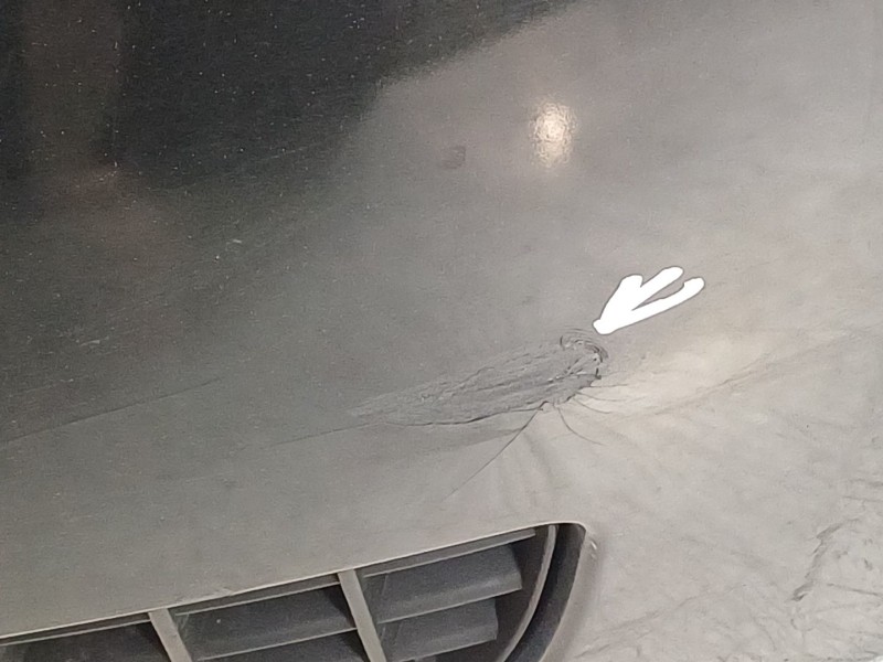 Recambio de paragolpes trasero para renault megane ii berlina 5p confort authentique referencia OEM IAM 8200271363  